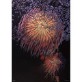 Jigsaw puzzle non-character Haru no Miyabi 500 pieces (05-1043)