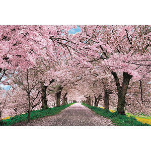 Jigsaw puzzle Gongendo Tsutsumi dyed in cherry blossoms-Saitama 1000 pieces (...