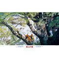 Jigsaw Puzzle Studio Ghibli Princess Mononoke Kodama Forest 1000 pieces (1000-270)