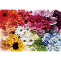 Jigsaw Puzzle Brittany Wright Flower Rainbow 1053 Super Small Piece (31-520)