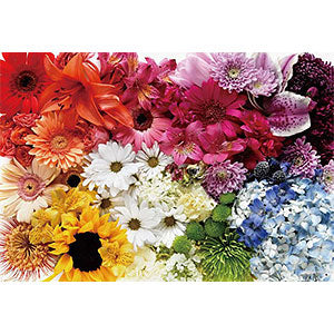 Jigsaw Puzzle Brittany Wright Flower Rainbow 1053 Super Small Piece (31-520)