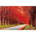 Jigsaw Puzzle Japanese Landscape/Autumn Pattern Metasequoia Tree-lined Avenue...