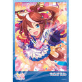 Jigsaw Puzzle Uma Musume Pretty Derby Dreams are meant to be achieved! 300 pi...
