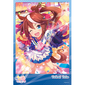 Jigsaw Puzzle Uma Musume Pretty Derby Dreams are meant to be achieved! 300 pi...