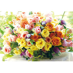Jigsaw puzzle Alegria 300 pieces (93-170)
