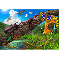 Jigsaw puzzle learning series Let's learn about Japanese insects! 100 pieces ...
