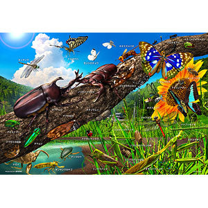 Jigsaw puzzle learning series Let's learn about Japanese insects! 100 pieces ...