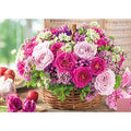 Jigsaw Puzzle Rose Colored Etude 500 pieces (500-299)