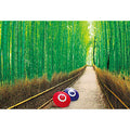 Jigsaw Puzzle Sagano Bamboo Forest 500 Small Pieces (500S-012)