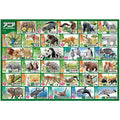Jigsaw Puzzle Learn Series Ania Animal Secret 80 Pieces (80-038)