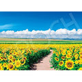 Jigsaw Puzzle Japanese Landscape Sunflower Field Shining in the Blue Sky-Hokk...