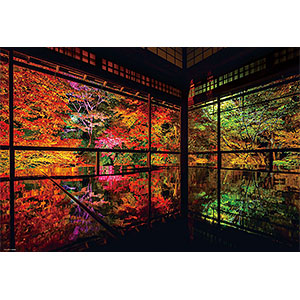 Jigsaw puzzle Rurikoin in autumn 1000 pieces (1000-041)