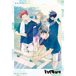Jigsaw puzzle anime "Haikyu!!" In the fresh greenery 300 pieces (300-3052)