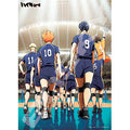 Jigsaw puzzle anime “Haikyu!!” Match begins! 500 pieces (500-543)