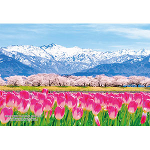 Jigsaw Puzzle Series - Japanese Cities 30 Shimoshinkawa District, Toyama Pref...