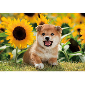 Jigsaw puzzle Sunflower and me 300 pieces (300-064)
