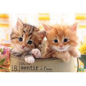 Jigsaw Puzzle Happy Cat 300 pieces (300-065)