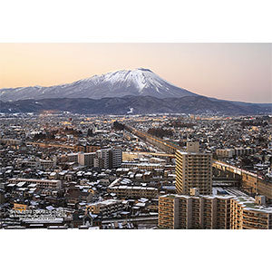 Jigsaw Puzzle Series - Japanese Cities 43 - Morioka City, Iwate Prefecture "M...