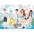 Jigsaw puzzle SUMMER FES 500 pieces (05-1091)
