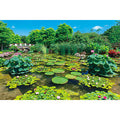Jigsaw Puzzle Shining Green Water Forest 1000 Pieces (1000-919)