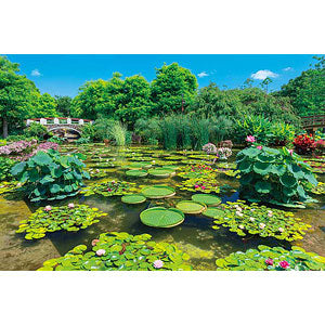 Jigsaw Puzzle Shining Green Water Forest 1000 Pieces (1000-919)