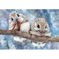 Jigsaw puzzle Mogumogu Ezo flying squirrel 300 pieces (300-102)