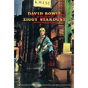 Jigsaw puzzle ZIGGY STARDUST 120 pieces (120-017)