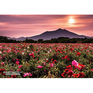 Jigsaw Puzzle Series - Japanese City 78 Shimotsuma City, Ibaraki Prefecture "Mt. Tsukuba and Poppy Field" 300 pieces (300-434)
