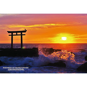 Jigsaw Puzzle Series/Japanese Cities 85 Ibaraki Prefecture Higashiibaraki District "Oarai/Kamiiso Torii illuminated by the morning sun" 300 pieces (300-441)