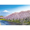 Jigsaw Puzzle Series/Japanese City 86 Fuji City, Shizuoka Prefecture "Cherry Blossoms at Ryugabuchi" 300 pieces (300-442)