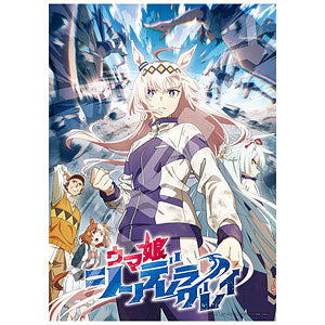 Jigsaw puzzle anime "Uma Musume Cinderella Gray" (2) 500 pieces (500-750)