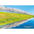 Jigsaw Puzzle Japanese Cities 91 Ono City, Hyogo Prefecture "Ono Sakura Zutsumi Corridor Upside Down Cherry Blossoms" 300 pieces (300-447)