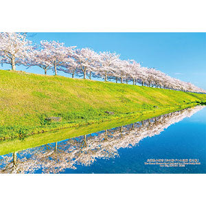 Jigsaw Puzzle Japanese Cities 91 Ono City, Hyogo Prefecture "Ono Sakura Zutsumi Corridor Upside Down Cherry Blossoms" 300 pieces (300-447)