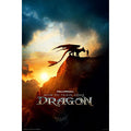 Jigsaw Puzzle How to Train Your Dragon 1000 pieces (10-1496)