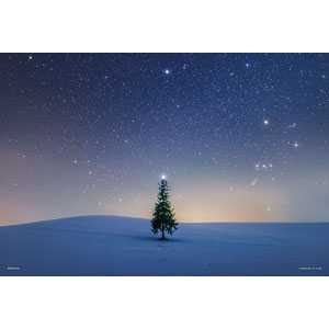Jigsaw Puzzle Sirius Tree (Hokkaido) 300 pieces (03-966)
