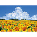 Jigsaw puzzle Sunflower hill and thunderclouds (Hokkaido) 500 pieces (05-1102)