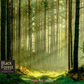 board game black forest