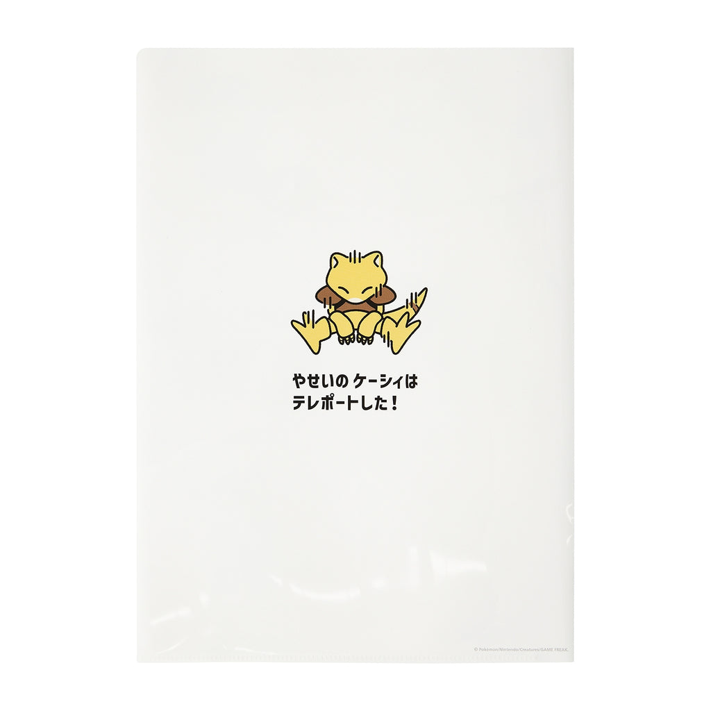 Set of 2 A4 clear files