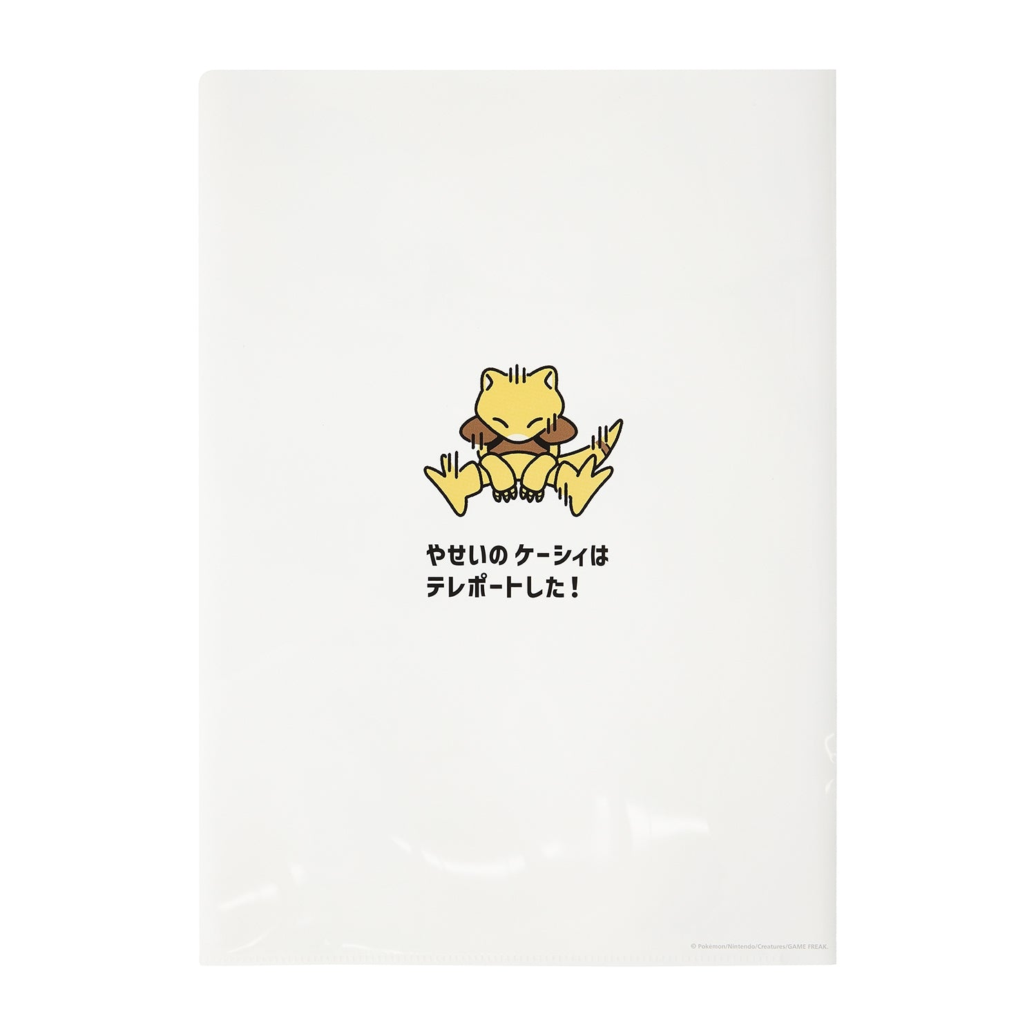Set of 2 A4 clear files