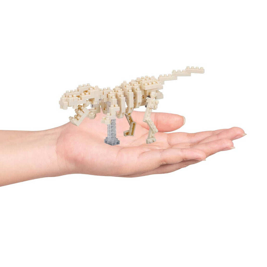 Nanoblock Tyrannosaurus skeleton model