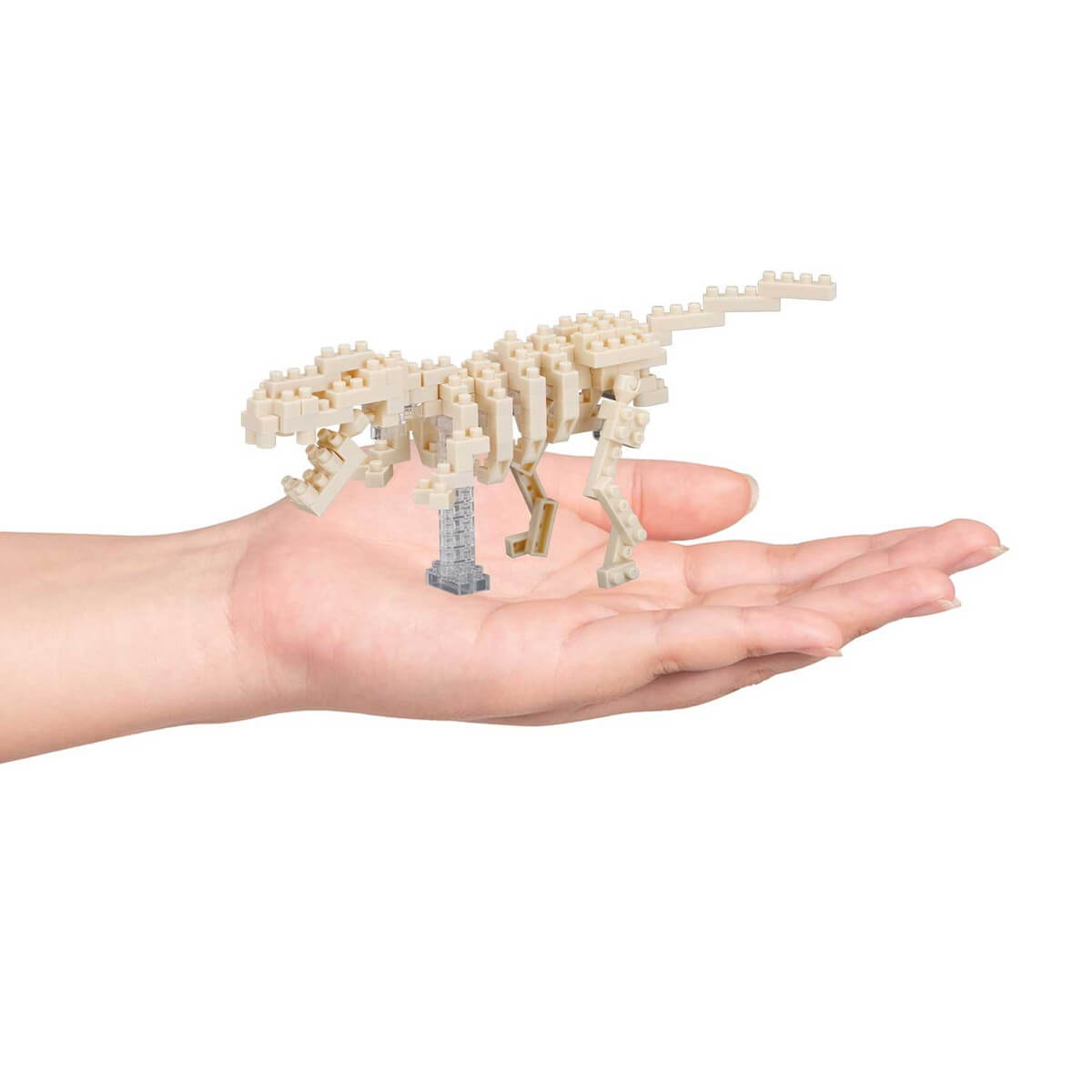 Nanoblock Tyrannosaurus skeleton model