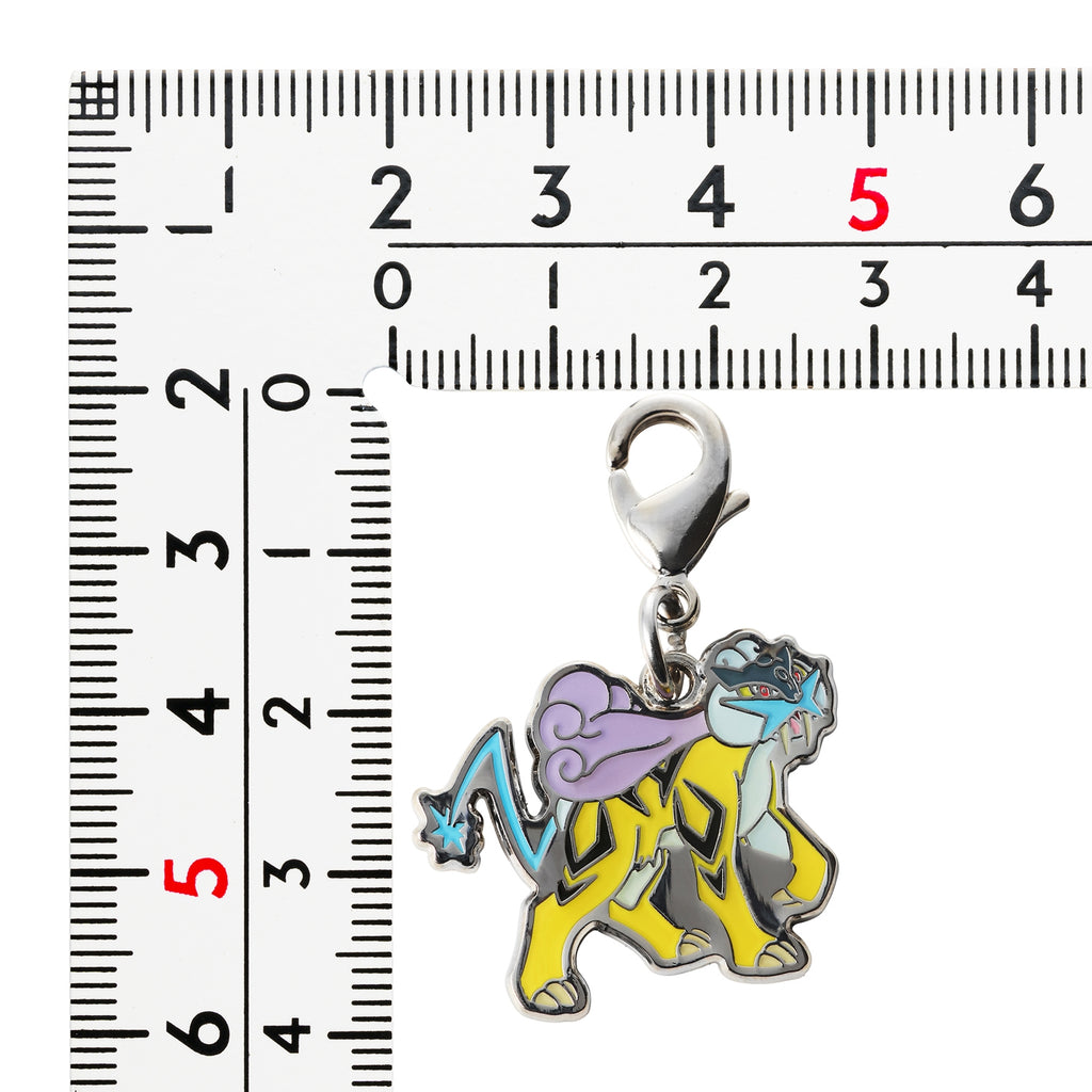Pokemon Metal Charm 243, Japan exclusive collectible with unique design