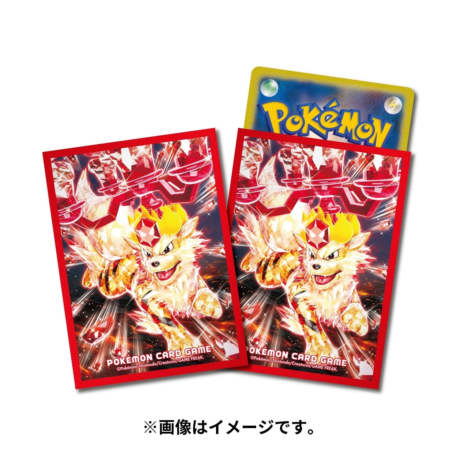 Pokémon TCG Deck Shield Premium Gloss Terastal Arcanine (#59) Sleeves