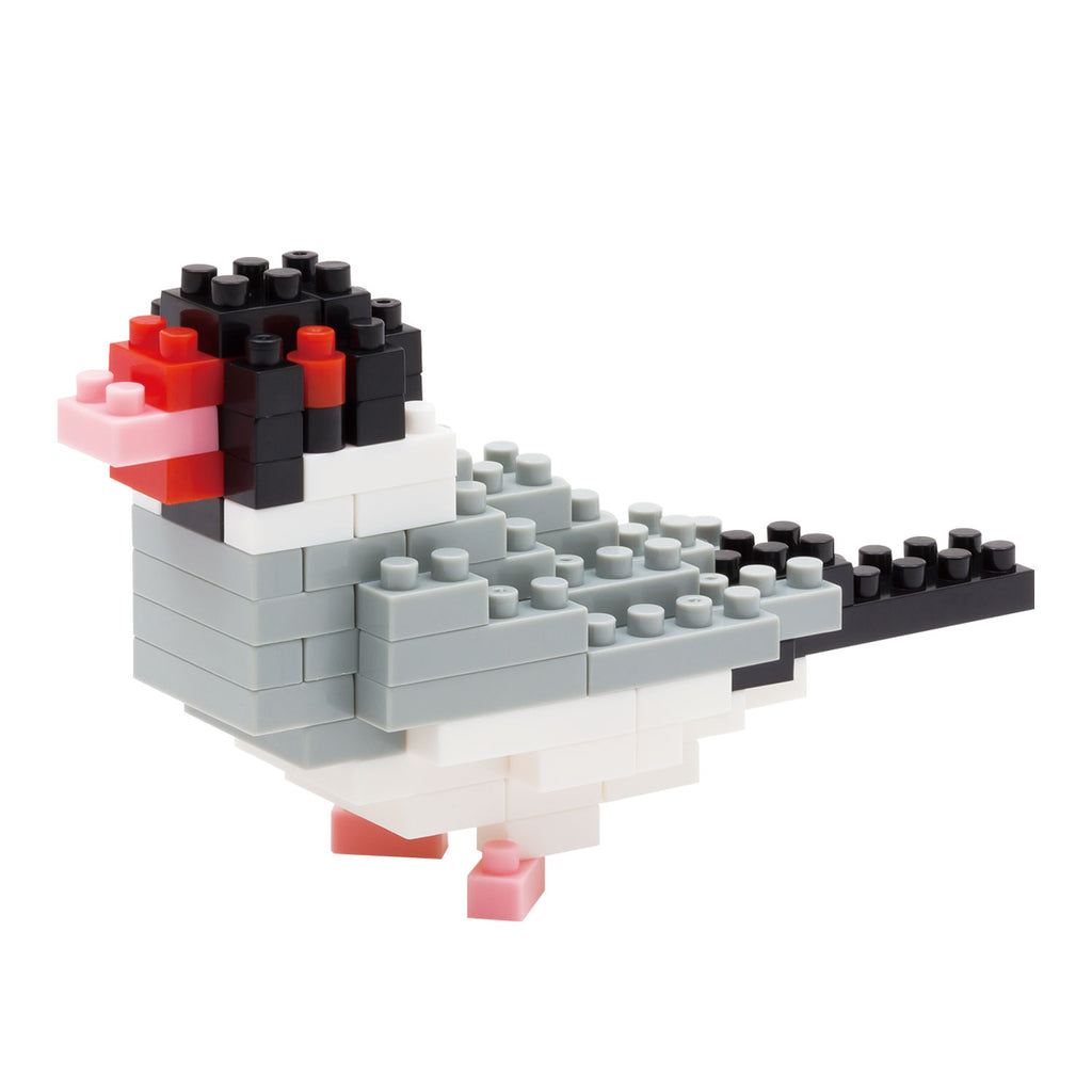[Store limited reprint product] Nanoblock Java sparrow