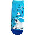 Carax Nami Dolphin men's figure, 25-27cm, official Pokemon Center Japan product from Japan