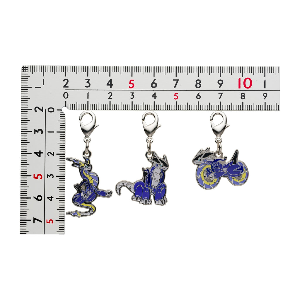 Pokemon Metal Charm 1008, a rare collectible from Japan with intricate details