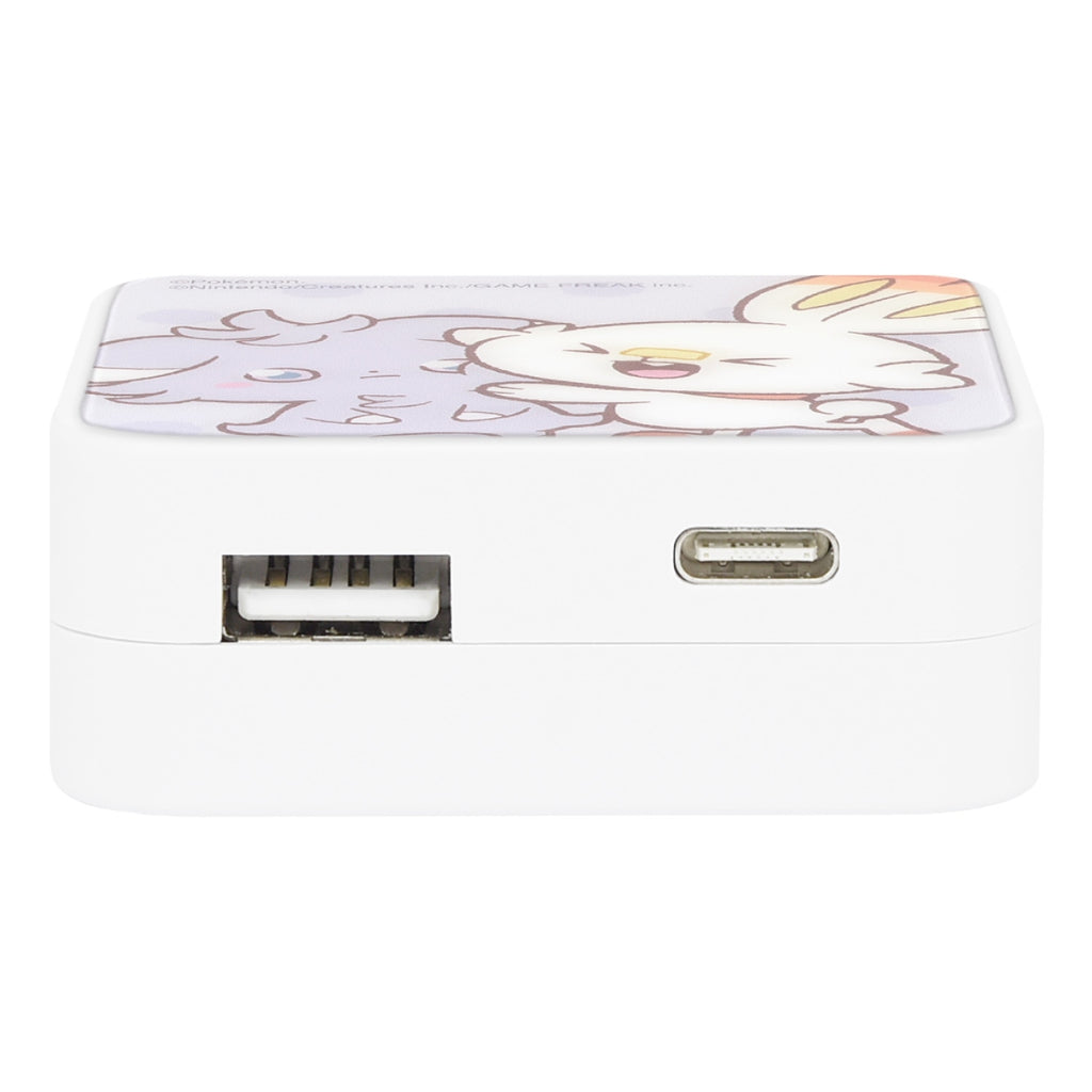 Pokepiece USB/USB Type-C AC adapter Nyasper & Hibani