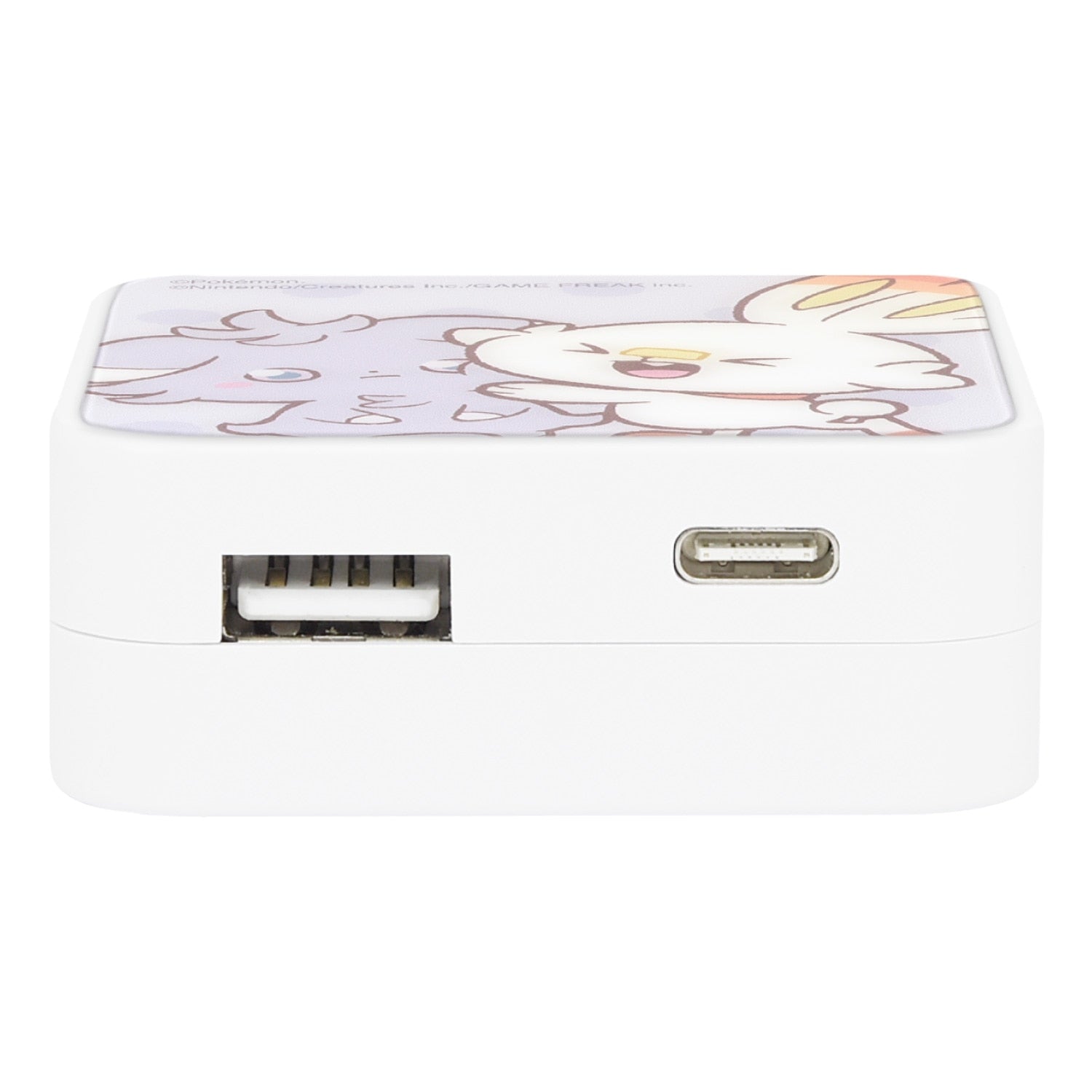 Pokepiece USB/USB Type-C AC adapter Nyasper & Hibani