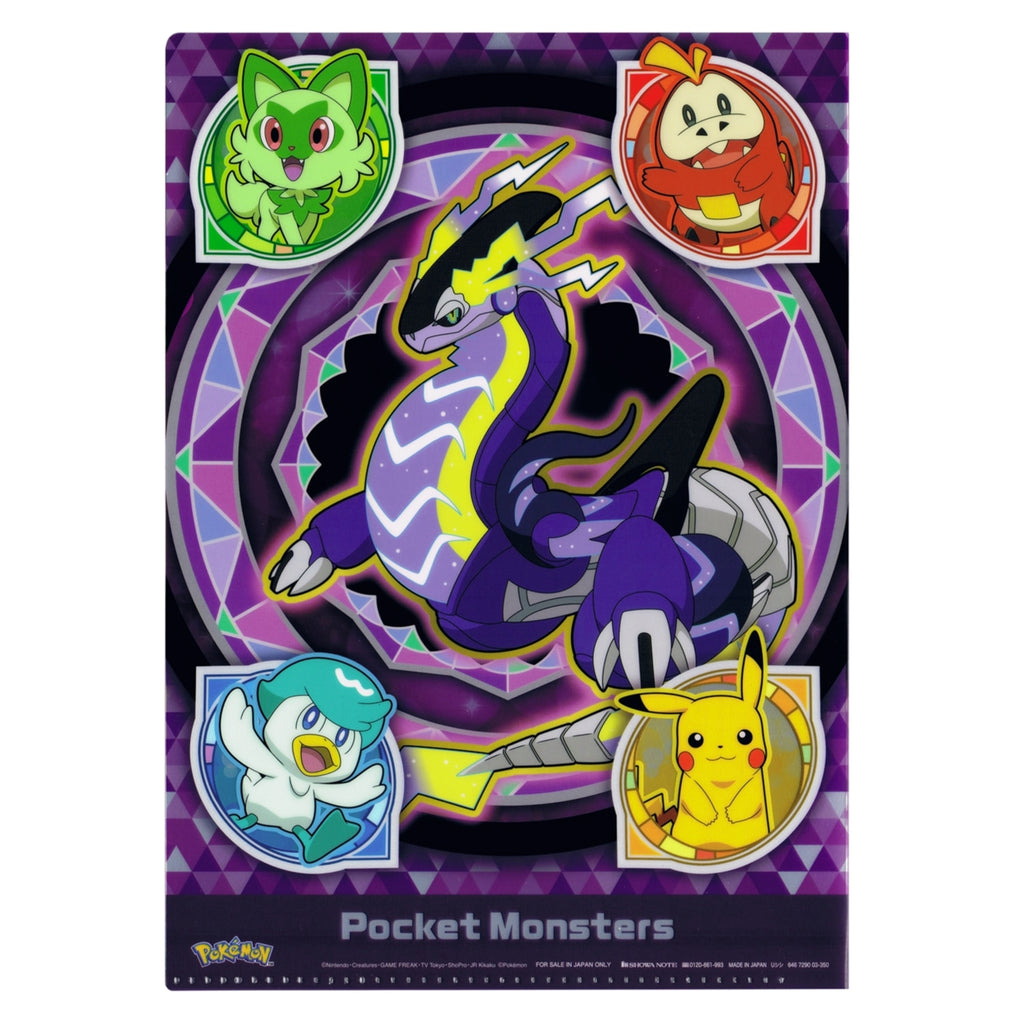 2 pocket clear file B S&V