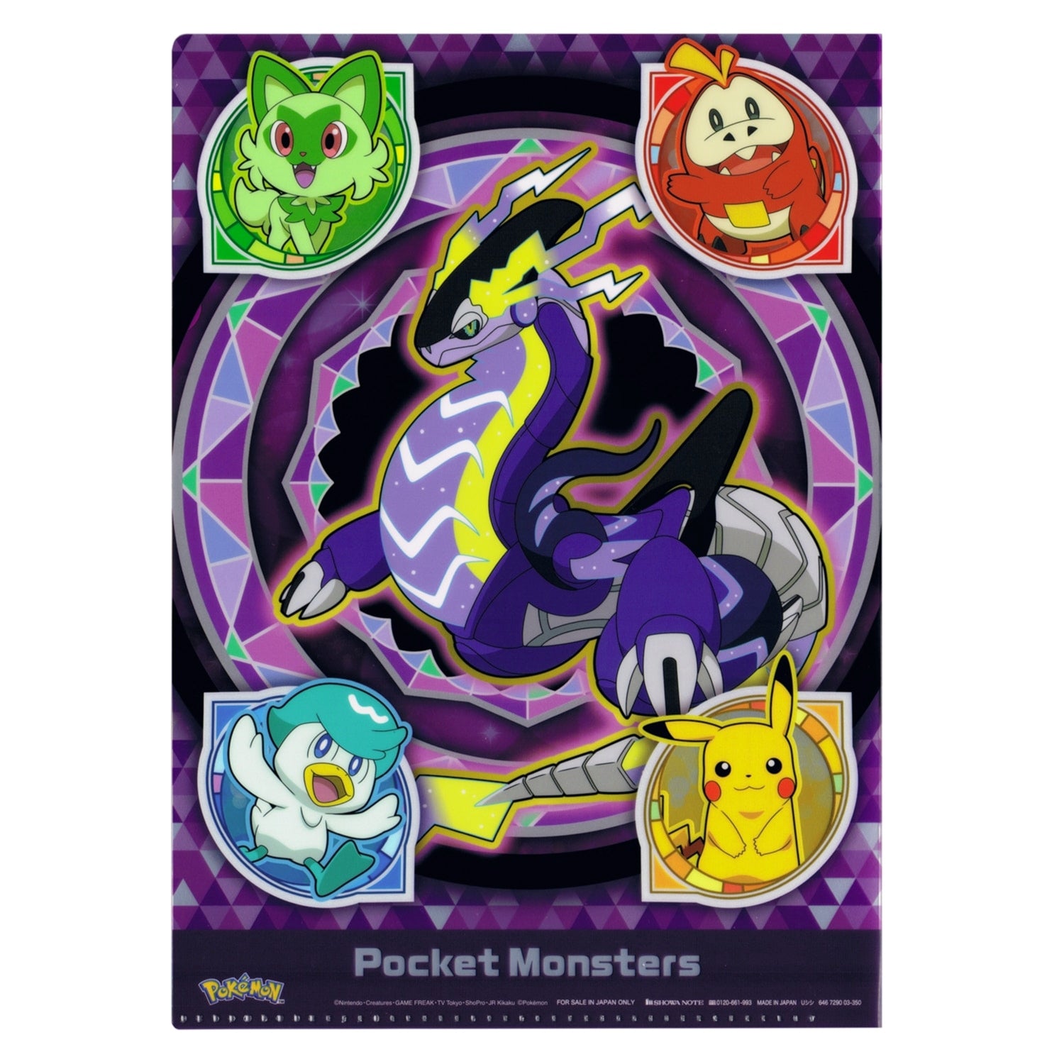 2 pocket clear file B S&V